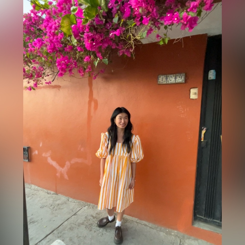 Mr. Larkin Olivia Dress in Sunshine Stripe